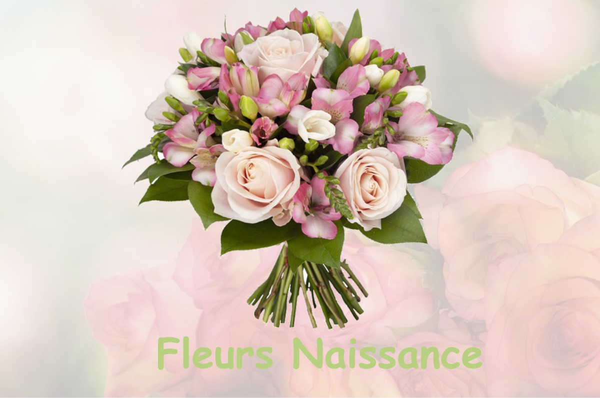 fleurs naissance SAINT-PAUL-DE-LOUBRESSAC